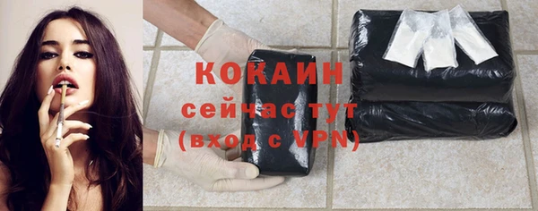 прущие грибы Тайга